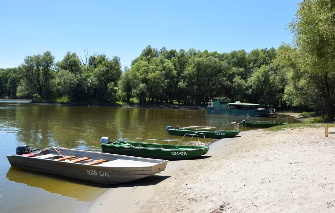 Canoe tour through Kopacki Rit Nature Park, Croatia